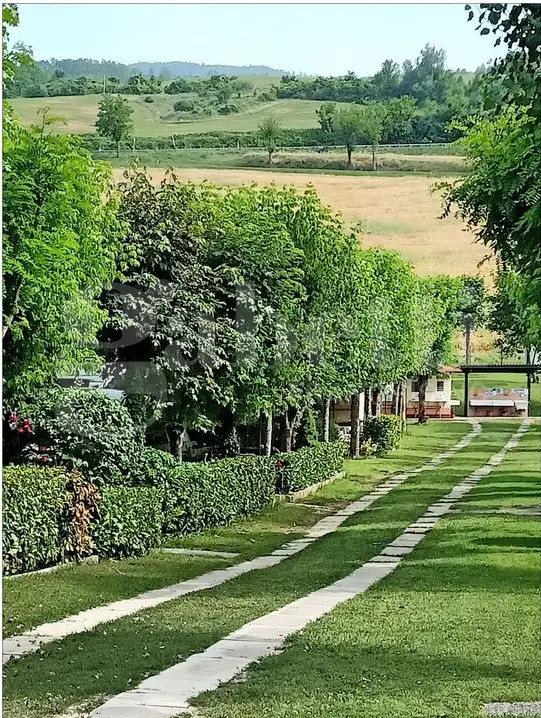 gallery gallery-image