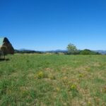 gallery gallery-image