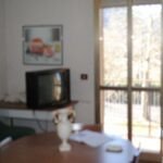 gallery gallery-image
