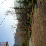 gallery gallery-image