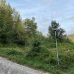 gallery gallery-image
