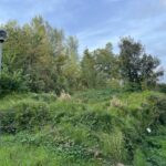 gallery gallery-image