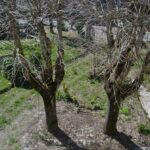 gallery gallery-image