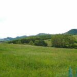 gallery gallery-image