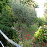 gallery gallery-image