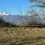gallery gallery-image
