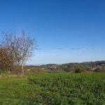 gallery gallery-image
