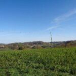 gallery gallery-image