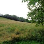 gallery gallery-image