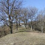 gallery gallery-image