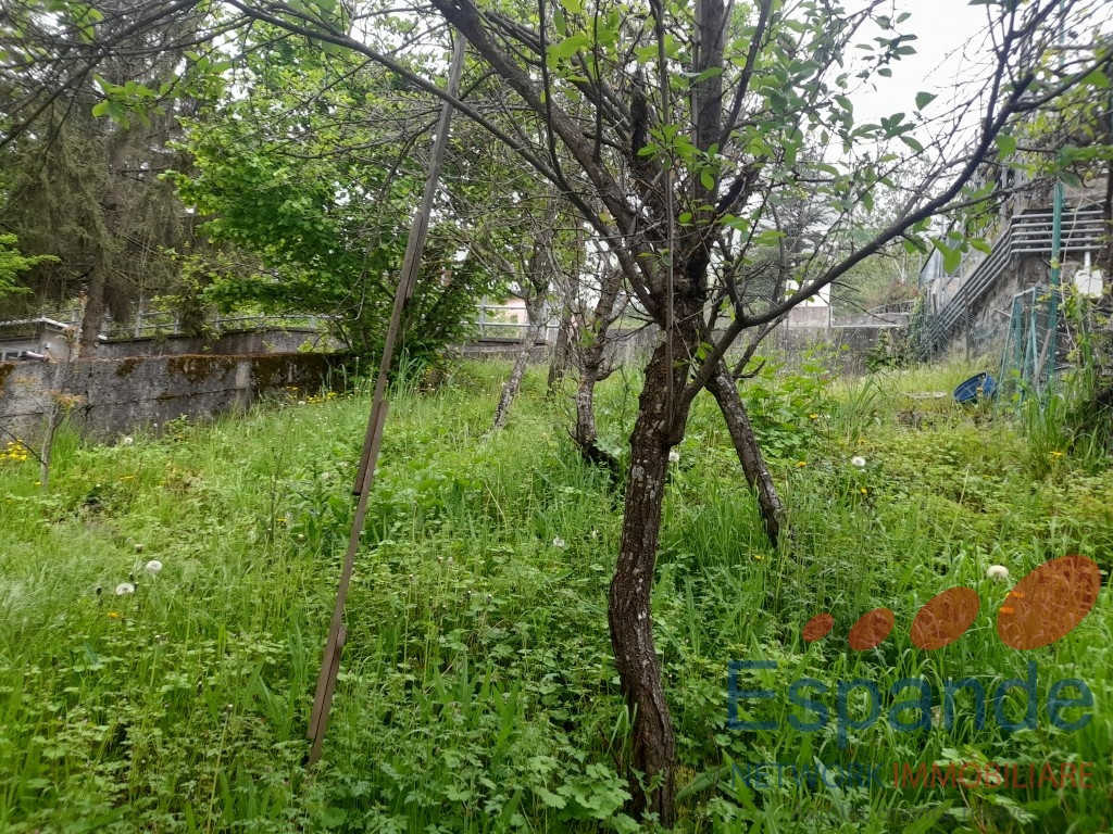 gallery gallery-image