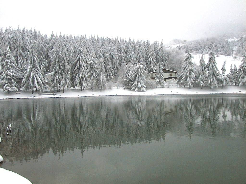 gallery gallery-image