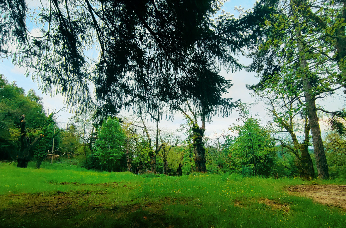 gallery gallery-image