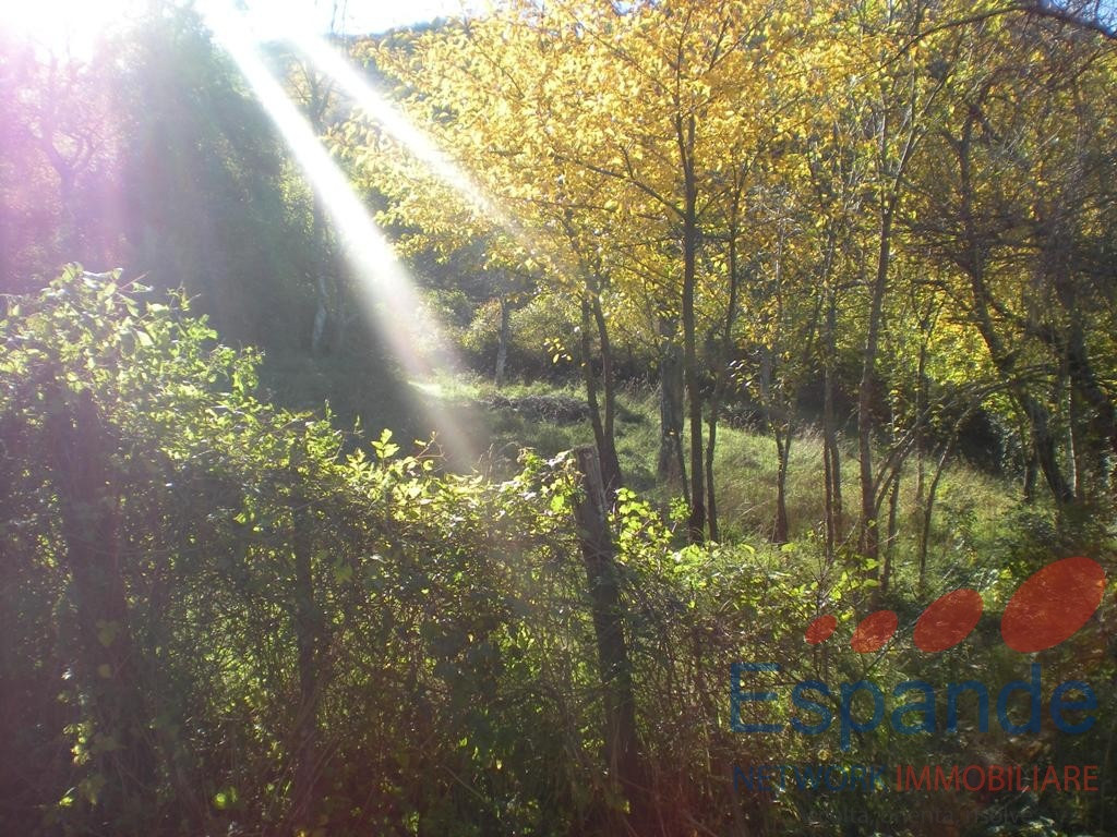 gallery gallery-image