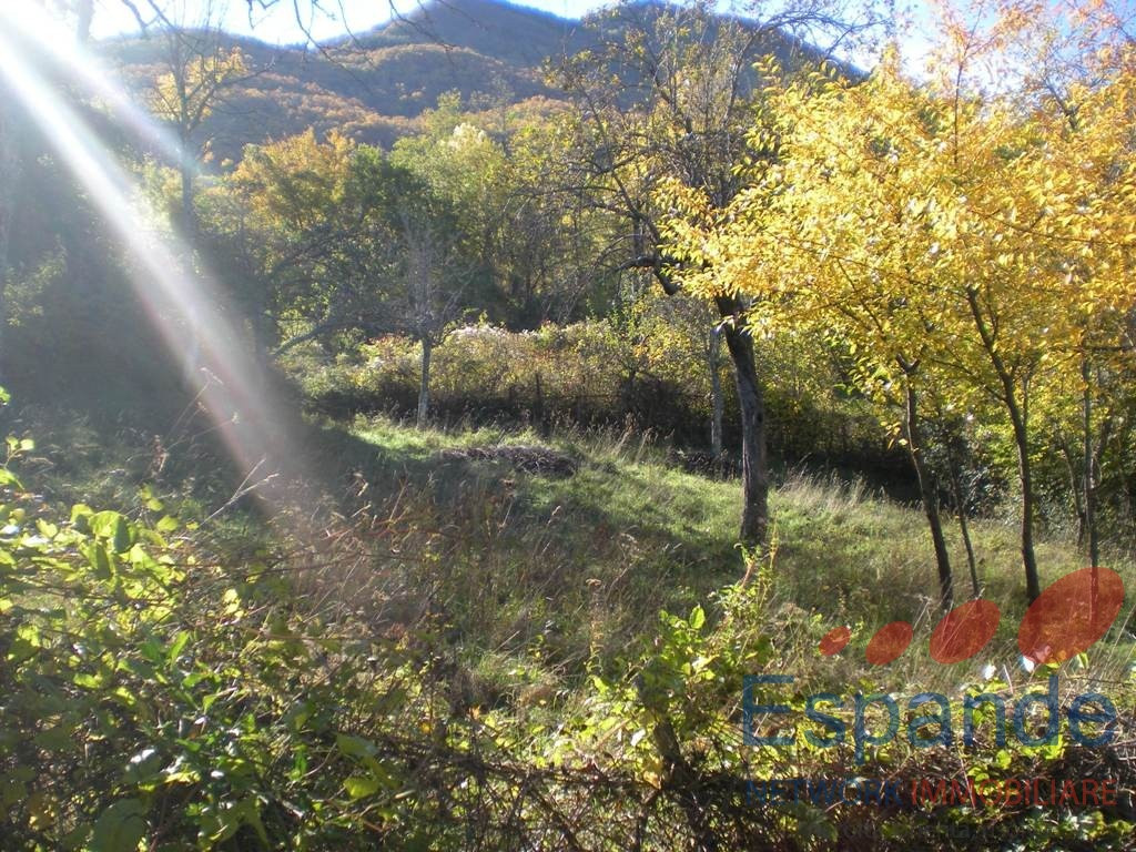 gallery gallery-image