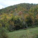 gallery gallery-image