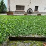 gallery gallery-image