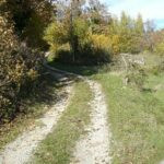 gallery gallery-image