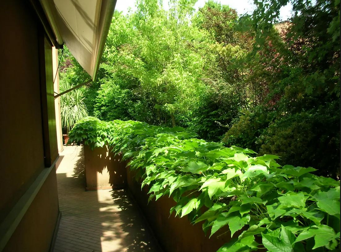 gallery gallery-image